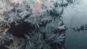 Frost patterns on a window pane