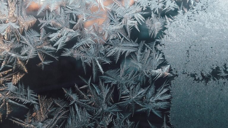 Frost patterns on a window pane