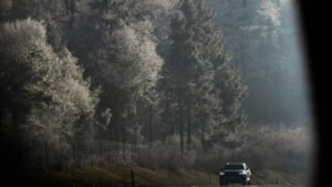 A car drives on a road through frosty trees